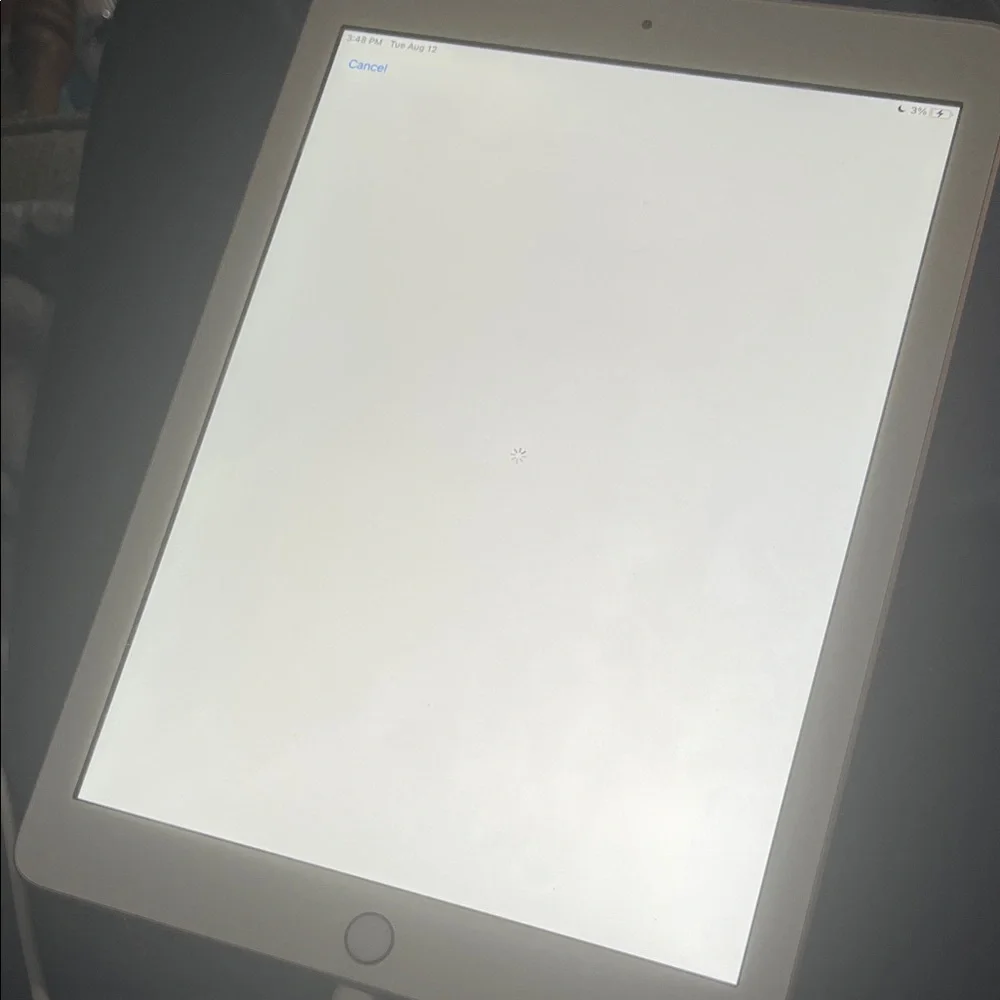Apple iPad in Rose Gold